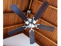 What are the strengths of Jiangmen ceiling fans